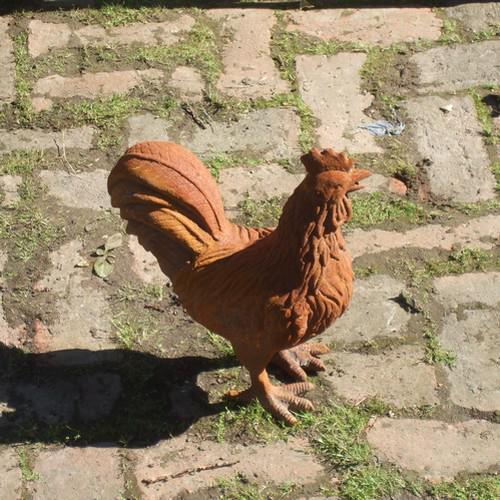 Cast Iron Chicken with Feet Statue - 250mm High