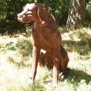 Cast Iron Sitting Rhodesian Ridgeback Statue - 1000mm High