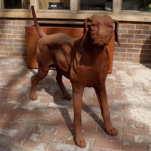 Cast Iron Standing Rhodesian Ridgeback Statue - 950mm High