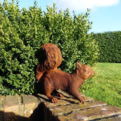 Cast Iron Foraging Squirrel Statue - 270mm High