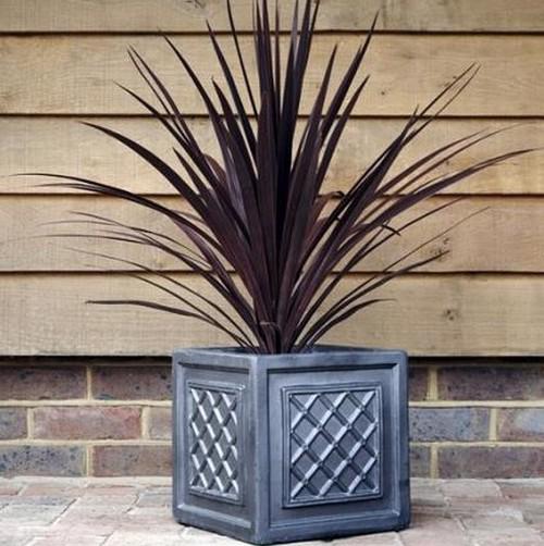 Clayfibre - Windsor Cubic Box Planter