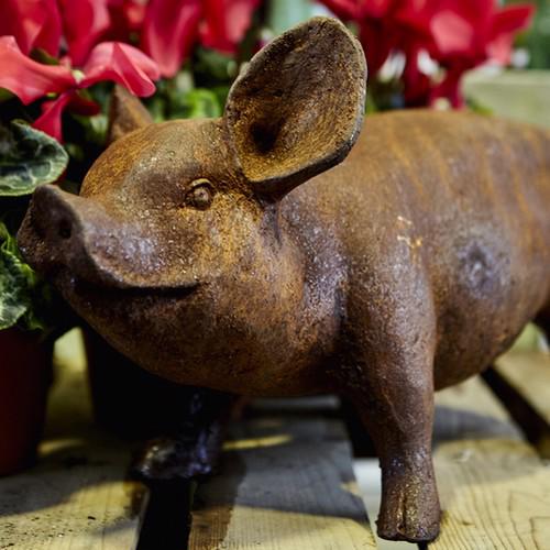 Cast Iron Standing Piglet Statue - 210mm High