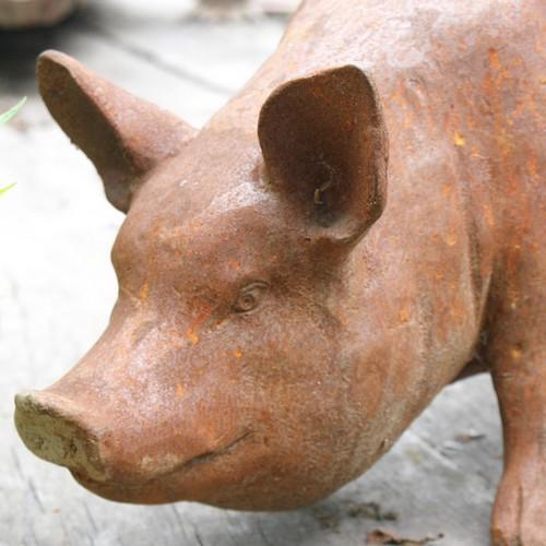 Cast Iron Standing Sow Statue - 300mm High