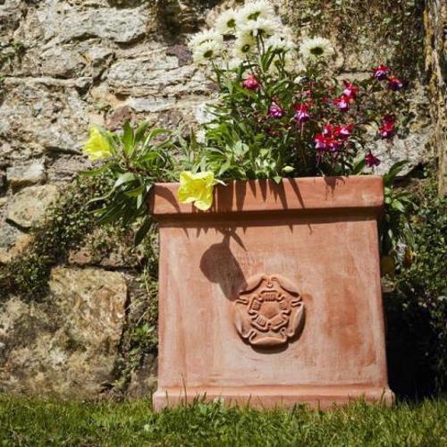 Terracini - Heritage Collection - Rose Box Cubic Box Planter - Terracotta