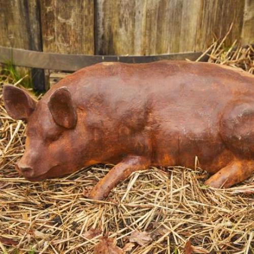 Cast Iron Laying Sow/Pig Statue - 260mm High
