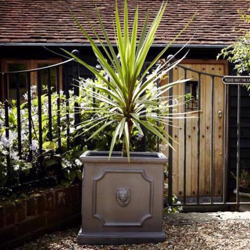 Clayfibre - Lion Head Cubic Box Planter