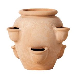 Terracini - Classic Herb Pot Planter - Terracotta - 110W x 300H x 110L mm