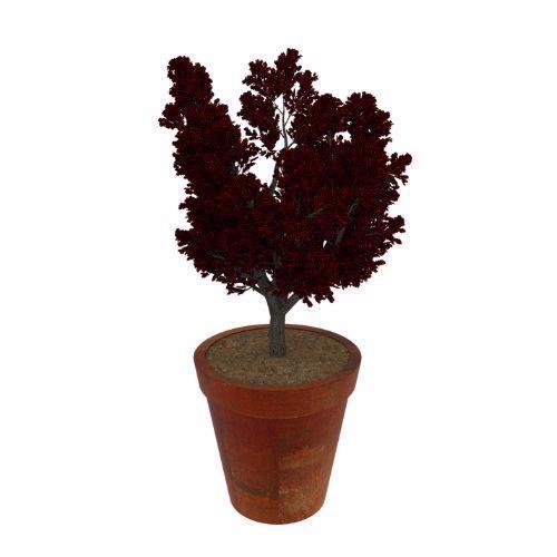 Corten Steel - Oren Flower Pot Planter