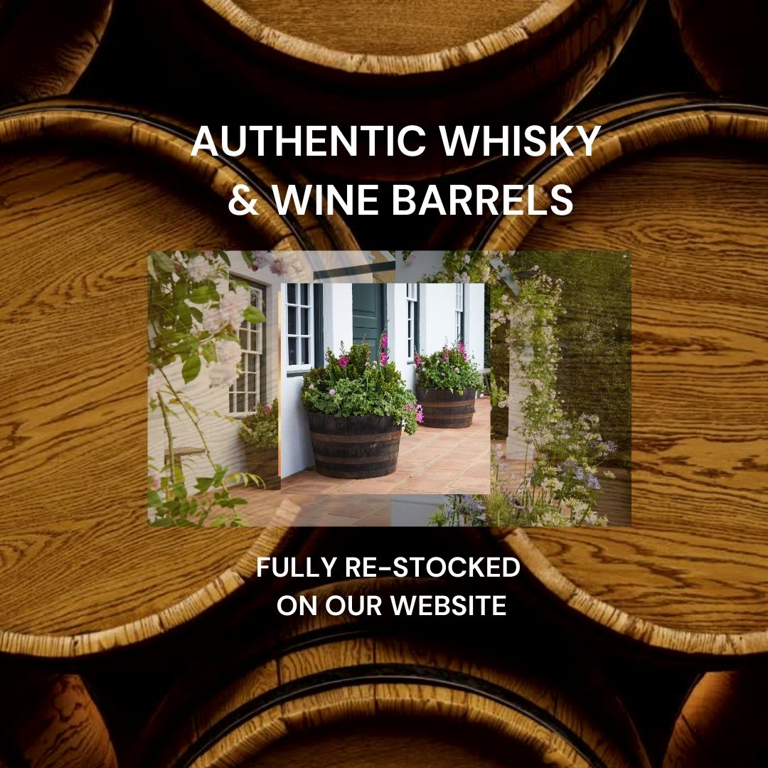 Oak Whisky barrels