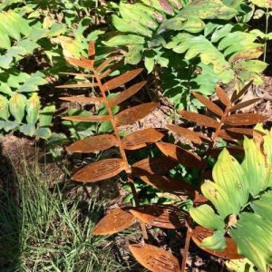 Corten Steel Poli Garden Accent - 270 x 10 x 600 (H)mm (1mm Thick)