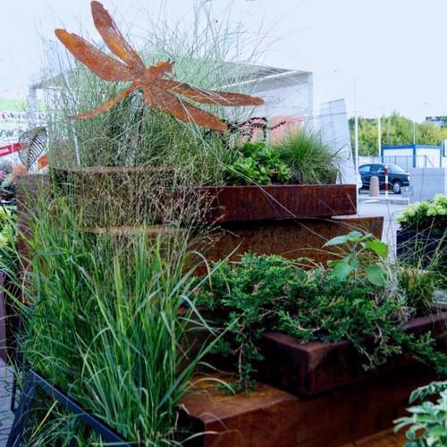 Corten Steel Papi Dragonfly Garden Accent