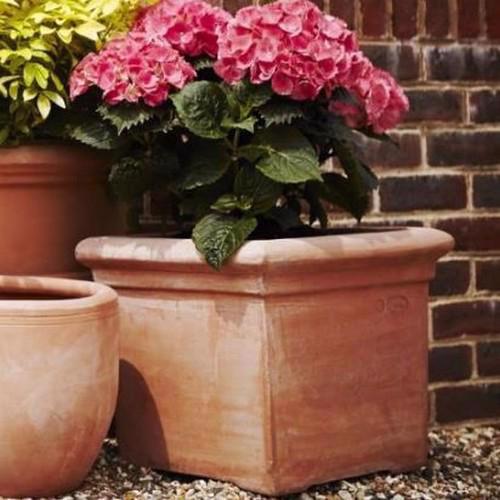 Terracini - Baytree Square Pot Planter - Terracotta