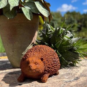 Hedgehog