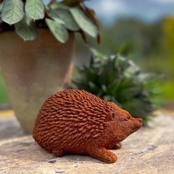 Hedgehog