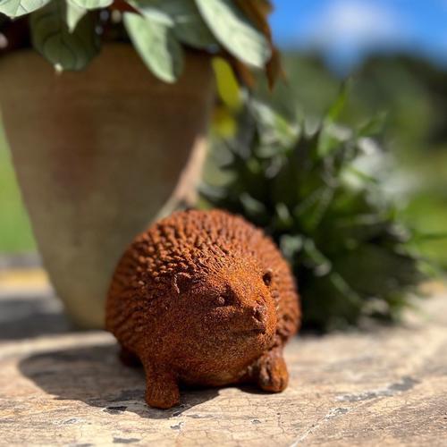 Hedgehog