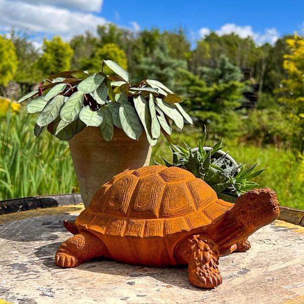 Tortoise Statue