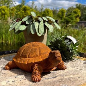 Tortoise Statue
