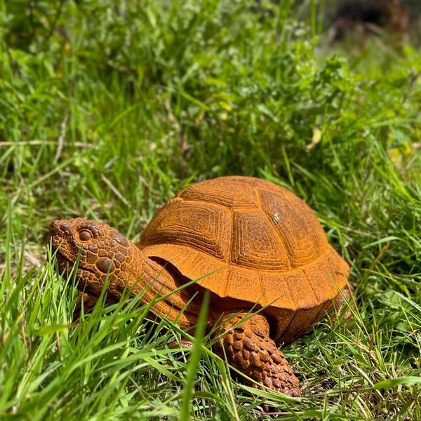 Tortoise Statue