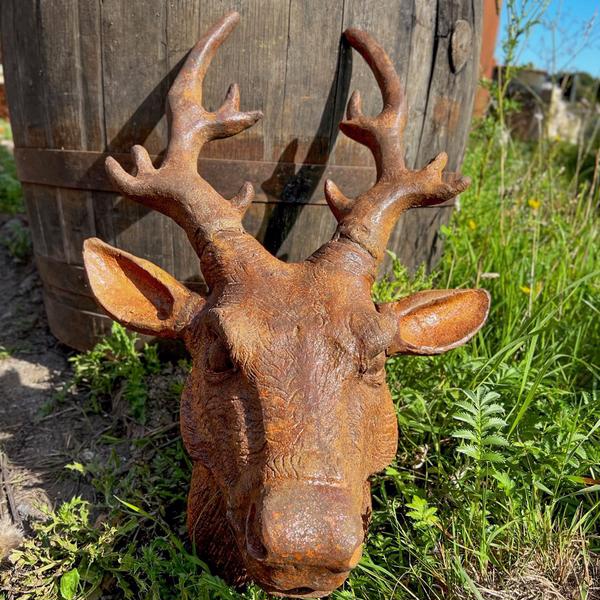 Roe Deer Bust