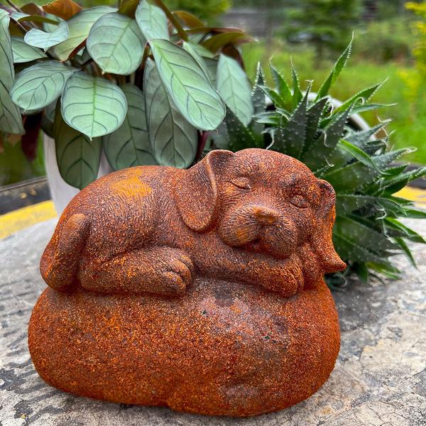 Precarious Puppy on a Rock