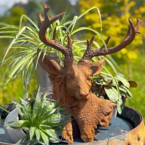 Wild Buck Bust