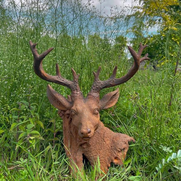 Wild Buck Bust