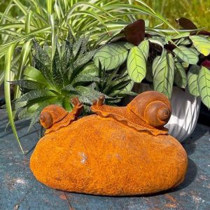 Snail on a Rock