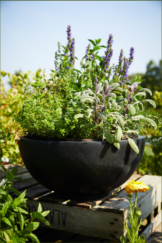 Polystone - Contemporary Bowl Planter