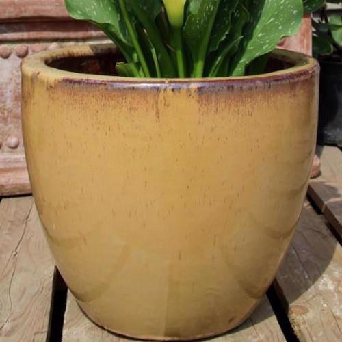 Glazed Egg Pot Planter - Gold