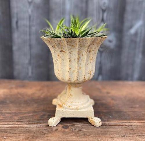 Cast Iron White Roman Pot With Feet Urn