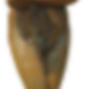 Cast Iron Hooded Guardian Statue