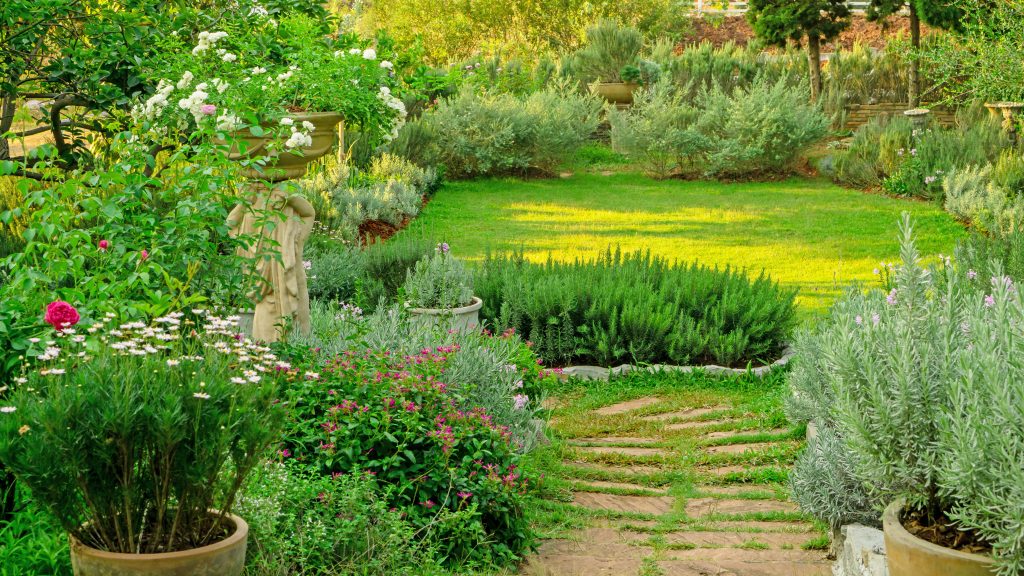 English cottage garden on green grass lawn backyard, infomal landscape decorate with roses, rosemary herb, lavender, flower pots, flowering plant, greenery trees and sculpture in charming edible gardens and good mainternance landscaping