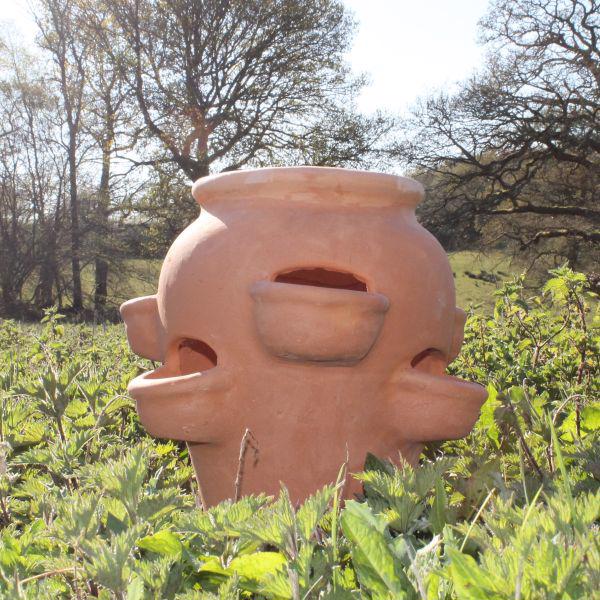 Terracotta Classic Herb Pot