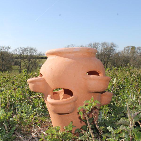 Terracotta Classic Herb Pot